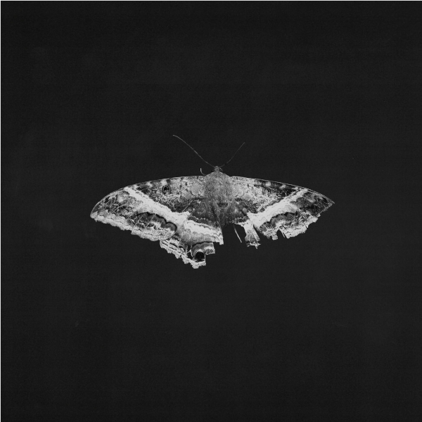 KENDRICK LAMAR / TO PIMP A BUTTERFLY (10 YEAR ANNIVERSARY EDITION