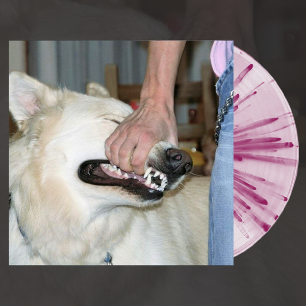 SIGN CRUSHES MOTORIST / I'LL BE OKAY – ALFFO RECORDS