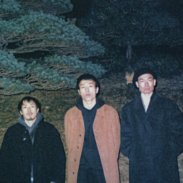 WOOL & THE PANTS / WOOL IN THE POOL – ALFFO RECORDS