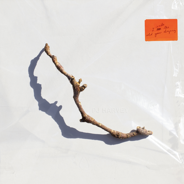 絶版 PJ Harvey 「The Hollow of the Hand」大型本 41qaUZPUdnL 絶版 PJ Harvey 「The Hollow of the Hand」大型本 41qaUZPUdnL