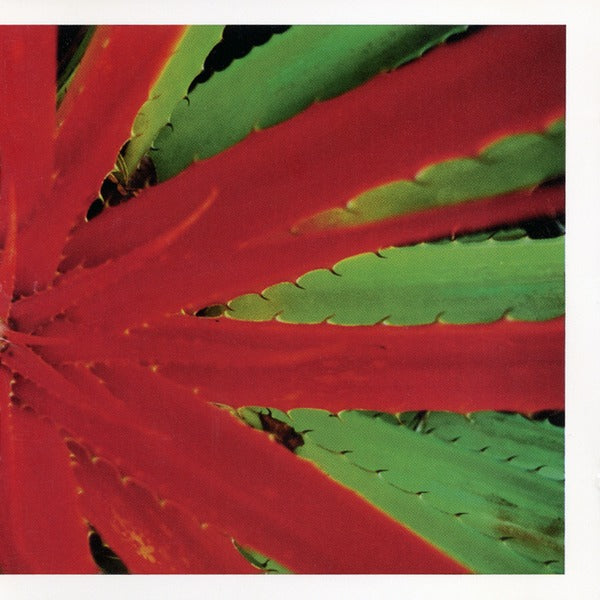 Jejune – This Afternoons Malady エモ　emo JEJUNE 