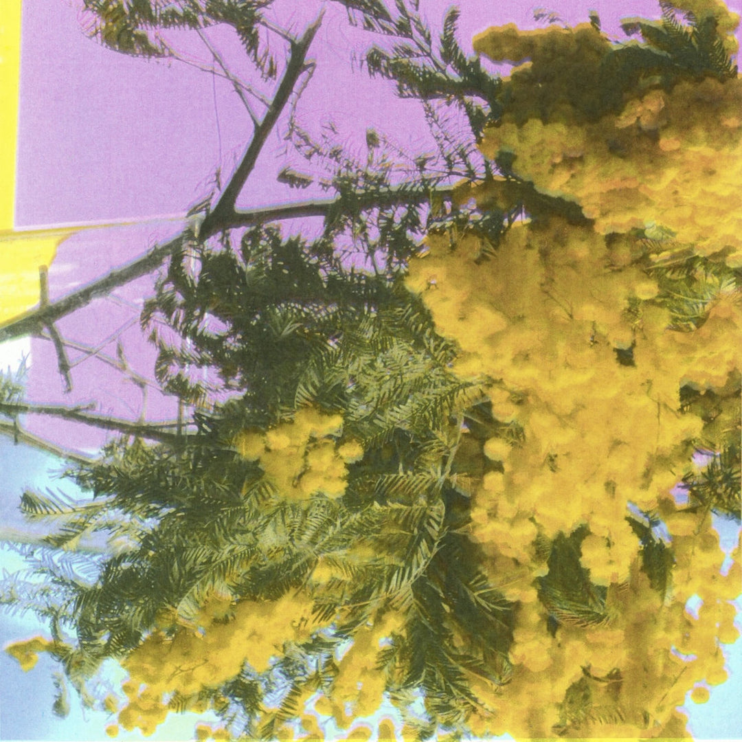 FOUR TET / INTO DUST (STILL FALLING) – ALFFO RECORDS