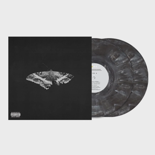 KENDRICK LAMAR 2LP 未開封 KENDRICK LAMAR / TO PIMP A BUTTERFLY (10 YEAR ANNIVERSARY