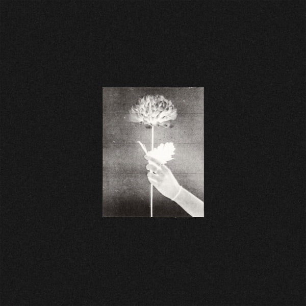 WHITE FLOWERS / DAY BY DAY – ALFFO RECORDS