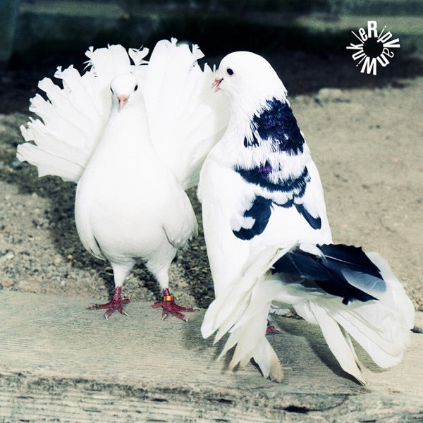 AIR エール RIP VAN WINKLE リップ・ヴァン・ウィンクル LP AIR エール