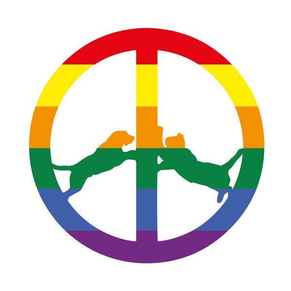 HYPE WILLIAMS / RAINBOW EDITION – ALFFO RECORDS