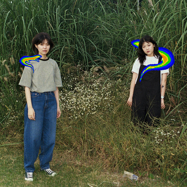 Salamanda - Ashbalkum レコード CD〉Salamanda｜ashbalkum | 曲線
